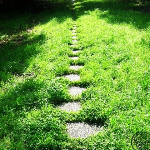 Road that leads to early summer