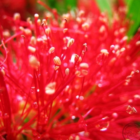 Cafe terrasse of dazzling sunlight