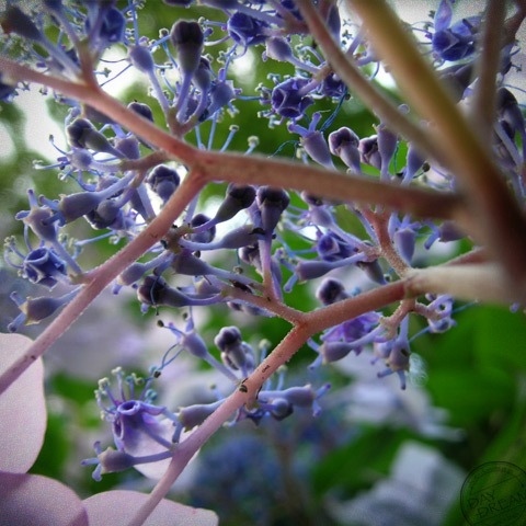 Morning of low-pressure