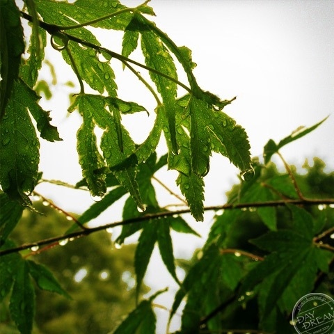 Next love with weep?