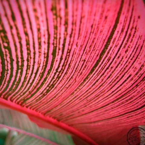 Rainy girl and Moon son