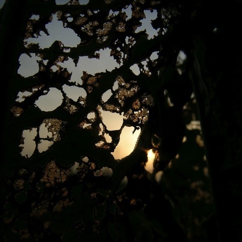 The brilliance not end