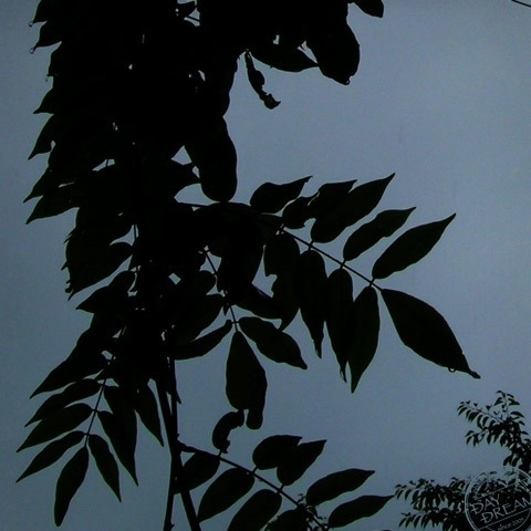 Breakfast in the park before dawn