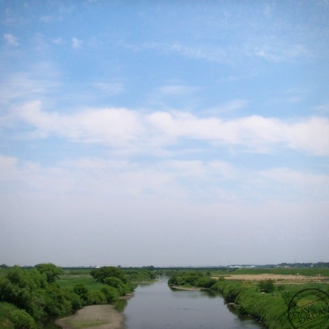 Wind that blows to horizon