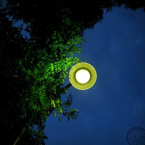 The soda pop enjoying the evening cool