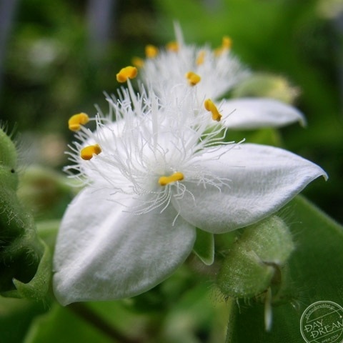 Myself in the mirror