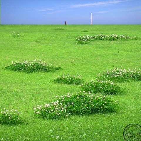 White tower and white cloud