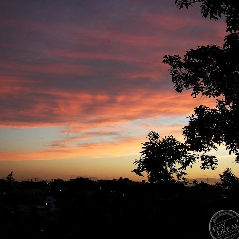 Happy curry rice Happy curry rice