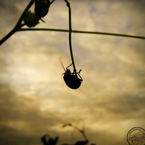 Do you open the way or shut?