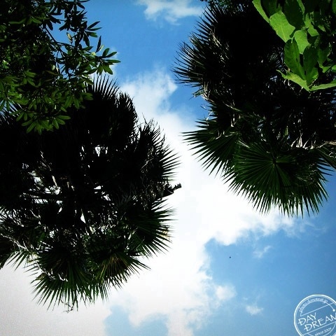 Shaved ice with syrup