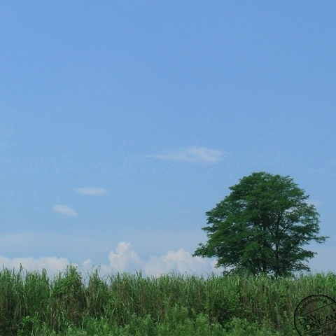 The summer over there