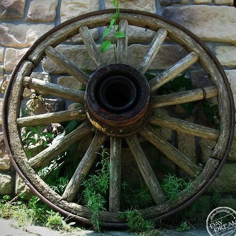 Wheel not rotate