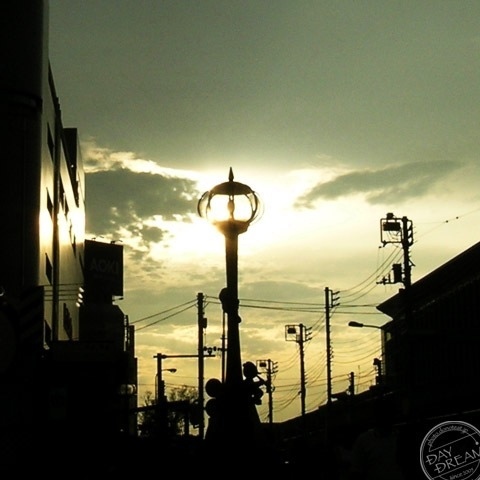 Dazzling golden sunlight