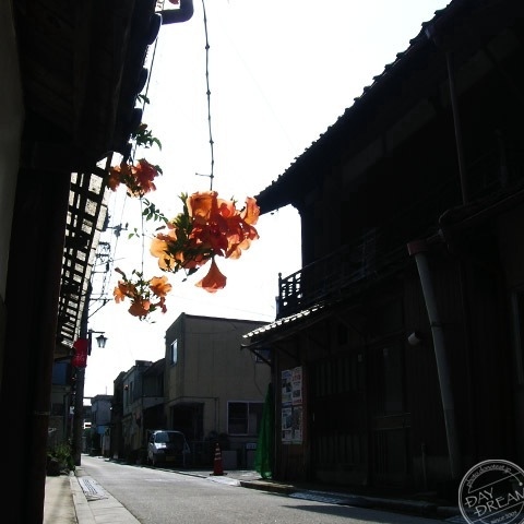 As the summer passed