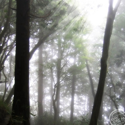 The sun broke through the morning haze