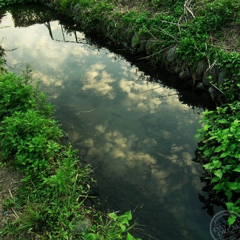 Mackerel sky in the river