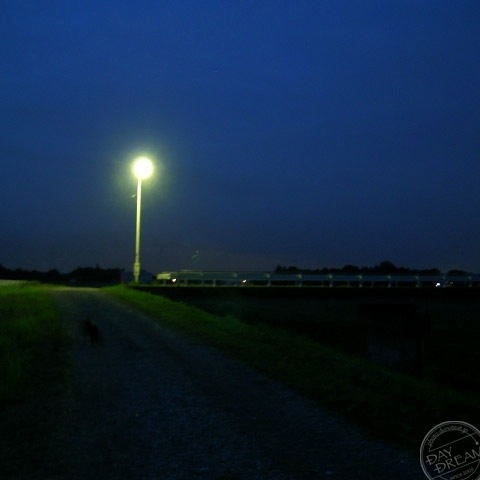 You lost my balance and fell