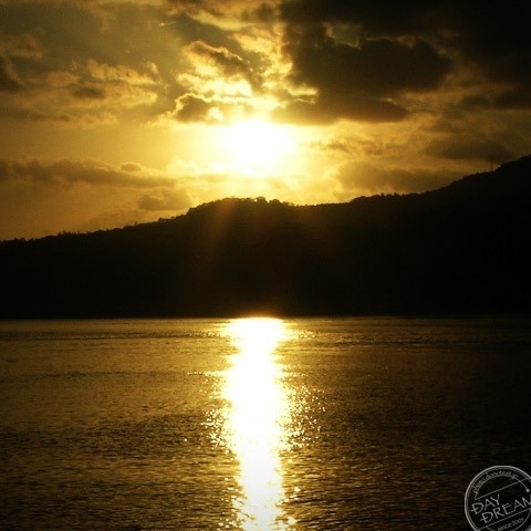 Road in sea of amber grow