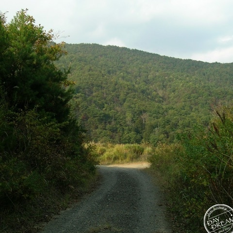 Rice ball of salty dried kelp