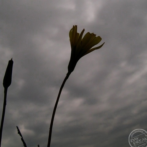 Small spring of cold autumn