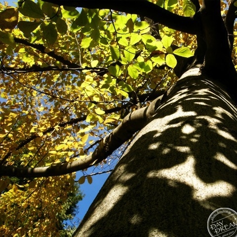 Spending an autumn holiday