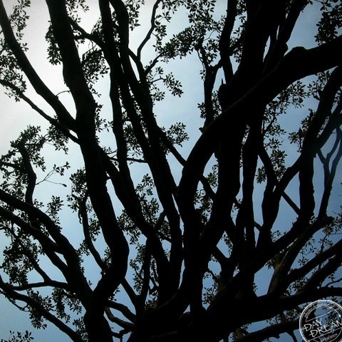 Elementary school disappeared now