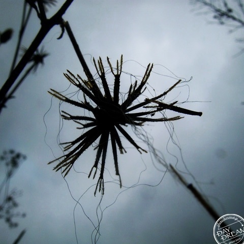 Spinning wheel of magic