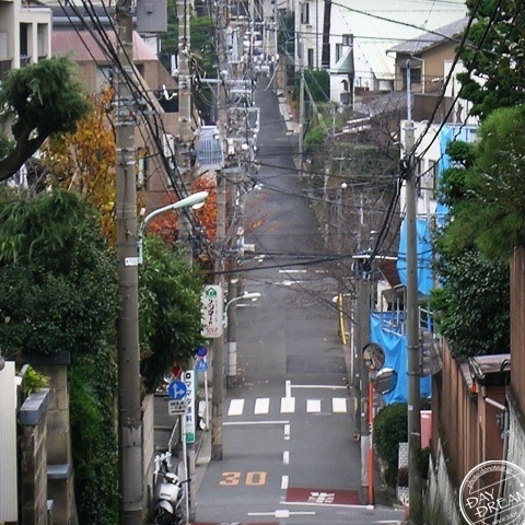 Stone-roasted sweet potato
