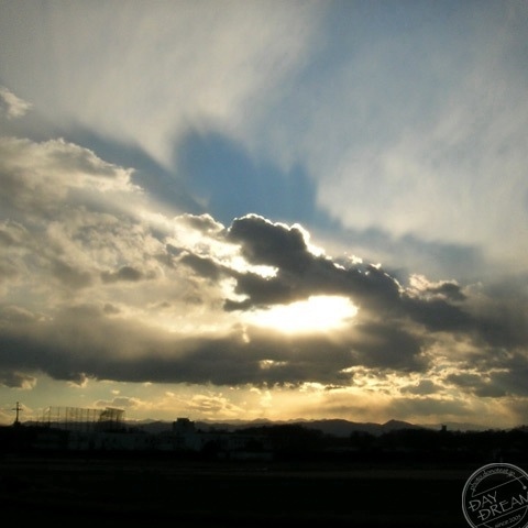 Chicken curry in the evening sun
