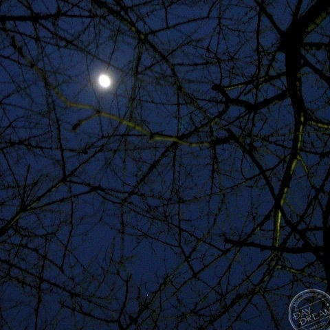 Butter candy in the pocket