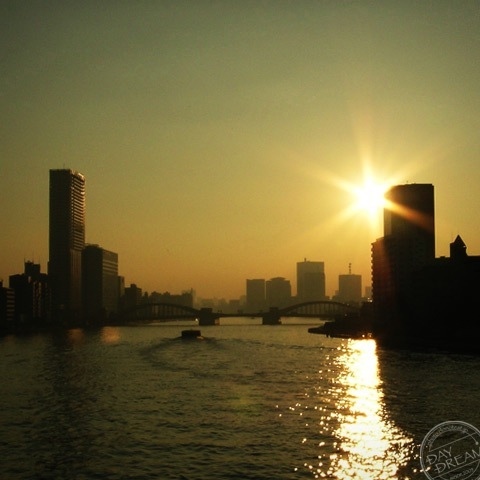 Sunset of maple milk tea