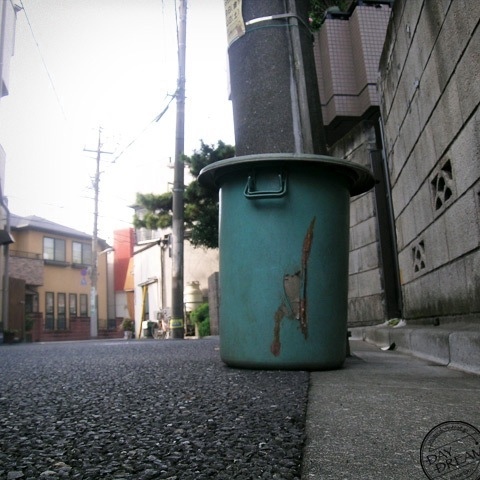 The cat of seventh back street