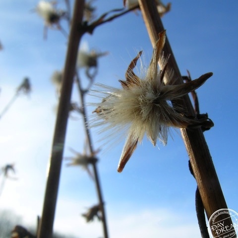 One of gloves are not found