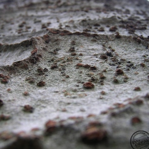 Morning that slip up by bicycle