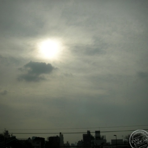 Sunny-side and cheese on the toast