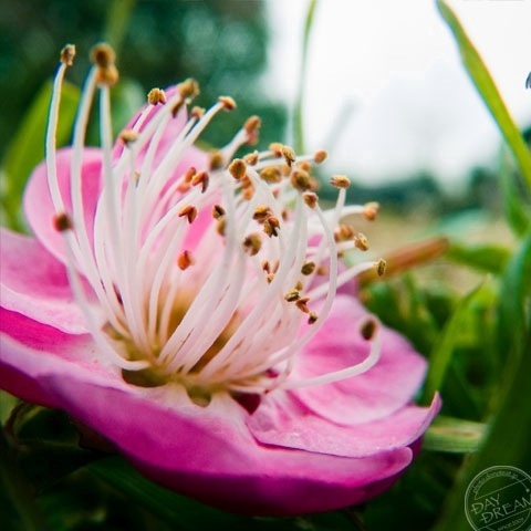 Make no bones about POTE