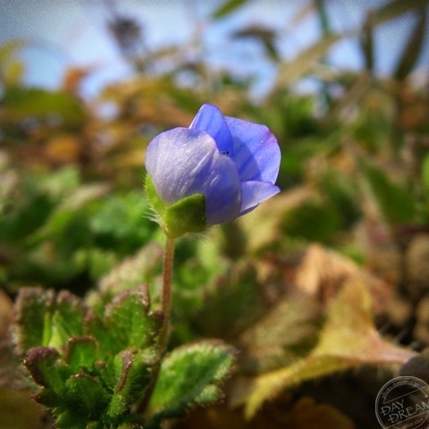 Have a little more patience