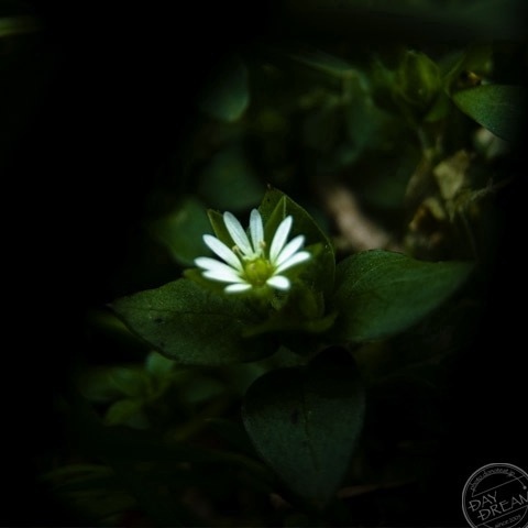 The weather forecast was off