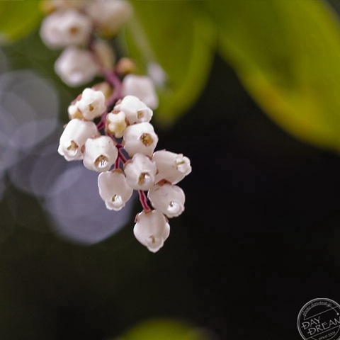 Remove glasses and goes to the supermarket