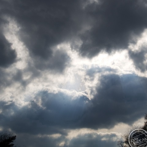 The oojah in the fine interval