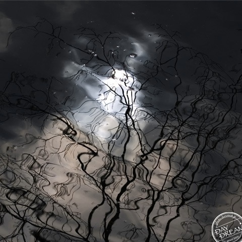 Water jump of spring night