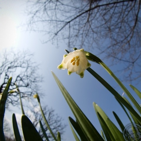 Important lost article