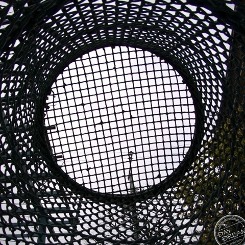 The dream of firmament