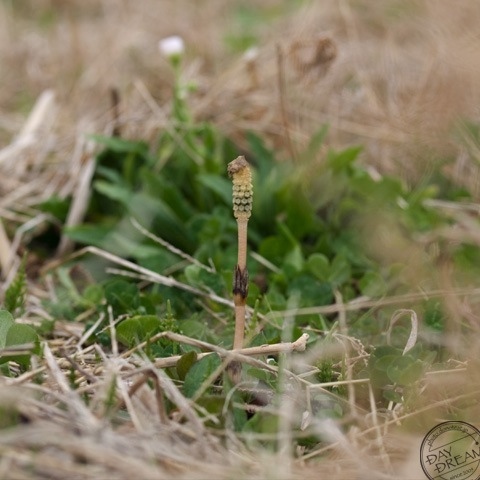 strong expectations for ...