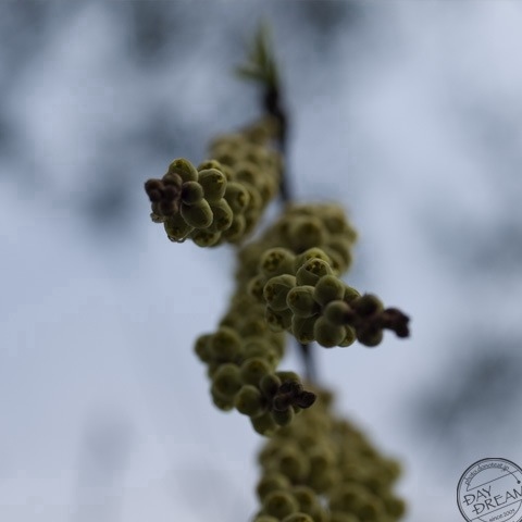 Shut the door on the past