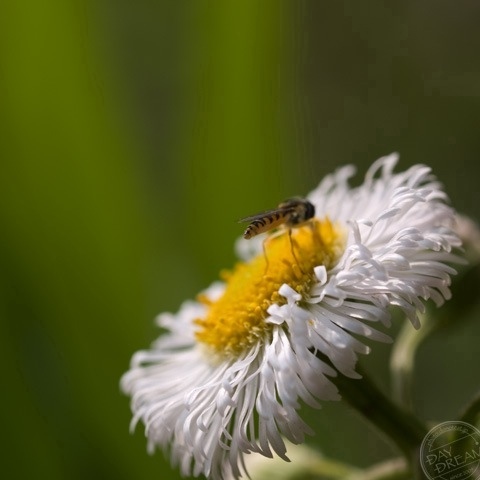 One spring afternoon