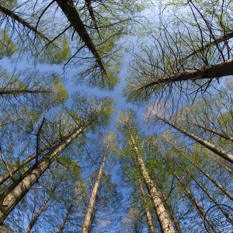 Special place only of mine