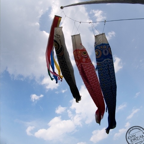 In the strong strong south wind 