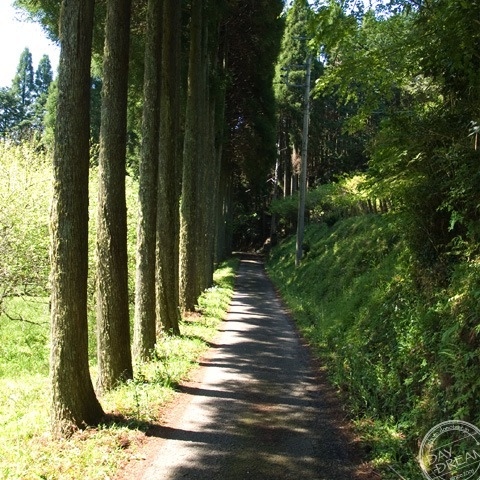 Let's go go for bread