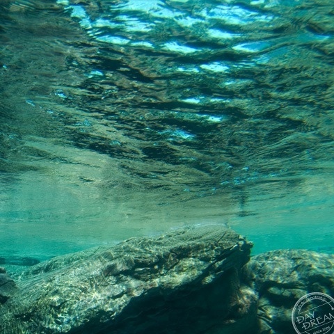 Rash vacation of southern sea